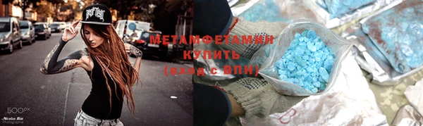 прущая мука Вяземский