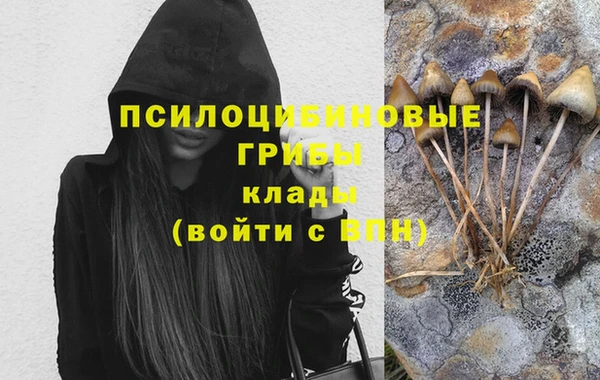 прущая мука Вяземский