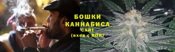 прущая мука Вяземский