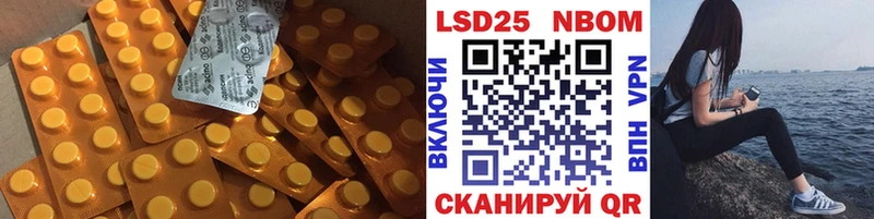 блэк спрут ссылки Малая Вишера LSD-25 экстази ecstasy